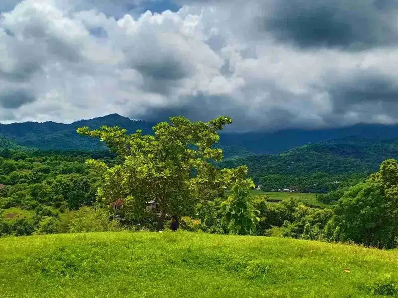9350 M2 FREEHOLD LAND FOR SALE IN PANGKUNG PARUK SERIRIT BULELENG NORTH BALI - Real Estate in Bali