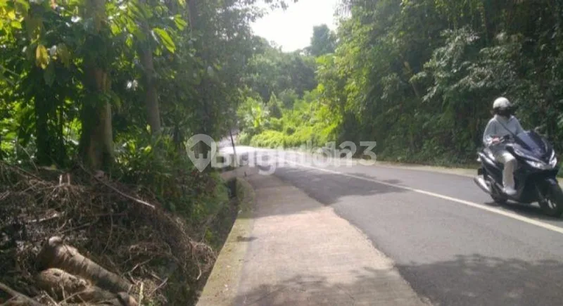 Tanah Tabanan Cocok untuk Investasi - Bali in Bali