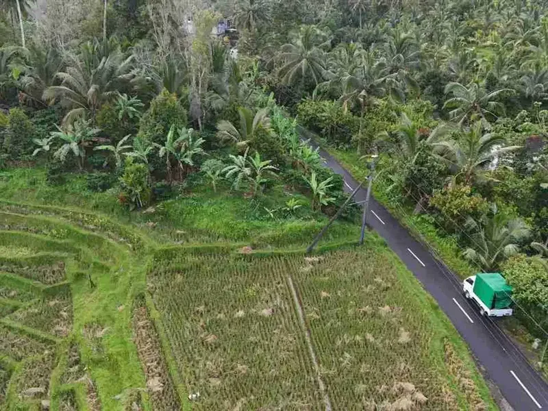 jual tanah luasan kecil view sawah area pemukiman di wanagiri selemadeg tabanan bali. - Bali in Bali