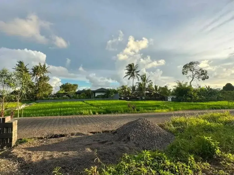TANAH VIEW SAWAH DI RAYA TUNON SINGAKERTA UBUD GIANYAR - Real Estate in Bali