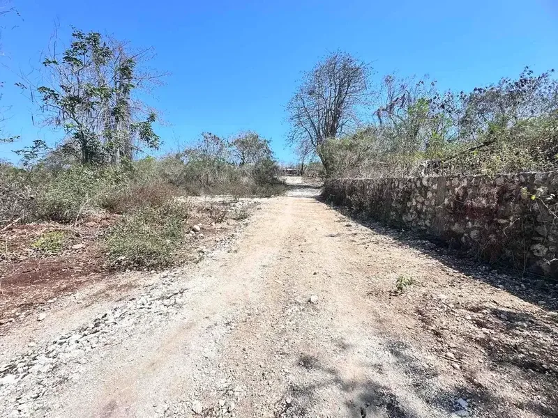 Tanah Kavling MURAH 150 m2 Jl Gayang Sari Kutuh - Real Estate in Bali