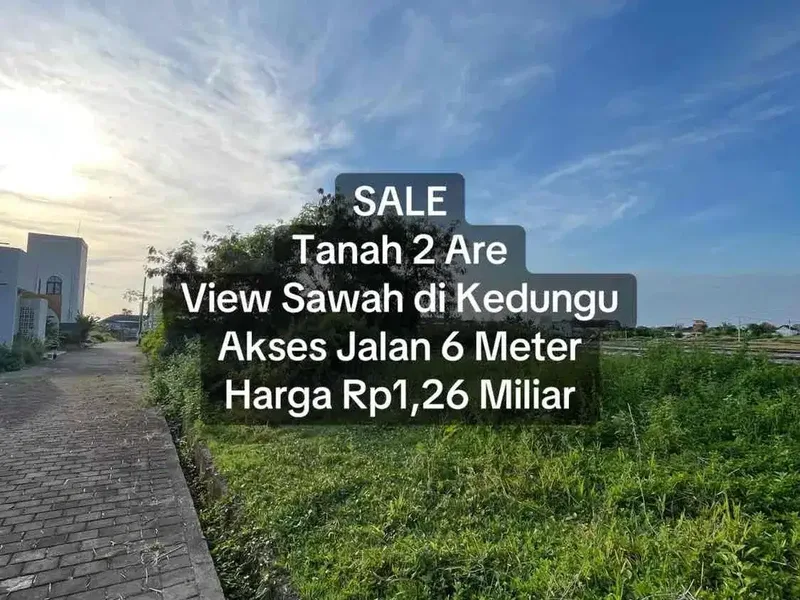 SALE Tanah 2 Are Dekat Pantai Kedungu View Sawah - Real Estate in Bali