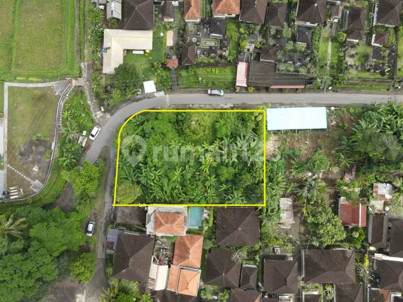 Commercial land sale 1000mÂ² - Kelusa Ubud Bali - Real Estate in Bali
