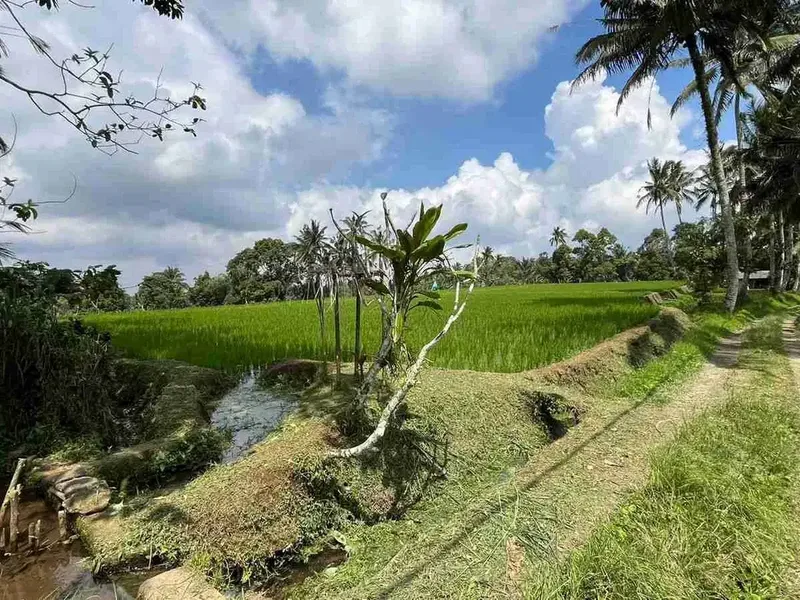jual tanah flat datar di tabanan bali. - Bali in Bali