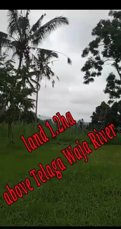 Land 1,2ha for Sale above Telaga Waja River Karangasem Bali - Bali in Bali