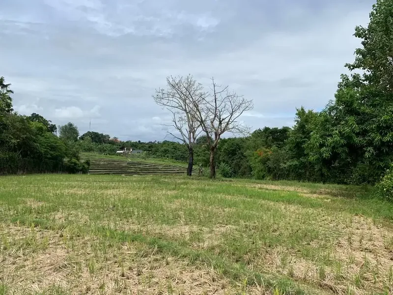 DIJUAL TANAH VIEW SAWAH LOKASI PERERENAN - Real Estate in Bali