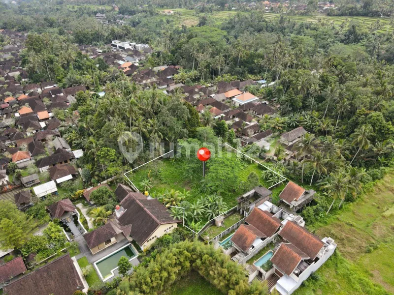 Tanah Murah di Pejeng Ubud 2031 M2 - Real Estate in Bali