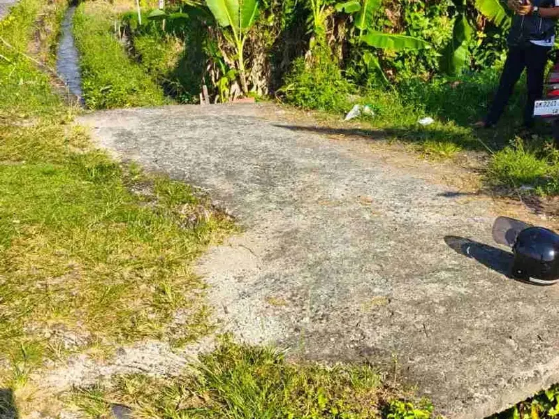 Tanah Plot Kecil 1 Are Canggu Kuta Utara Badung Bali - Real Estate in Bali