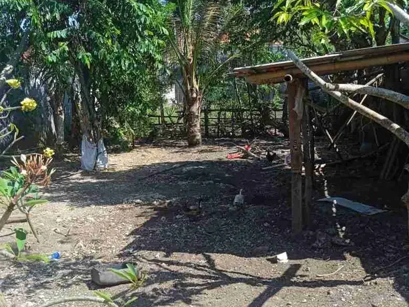 DIJUAL CEPAT TANAH LOKASI UNGASAN - Real Estate in Bali