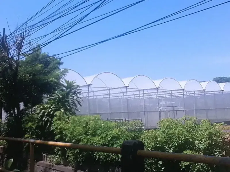 TANAH STRATEGIS DI RAYA KUTA BADUNG - Bali in Bali