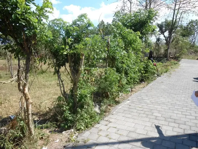 MURAH! Tanah 9,9 Are View Patung GWK Dekat Jl Bali Cliff Ungasan - Bali in Bali
