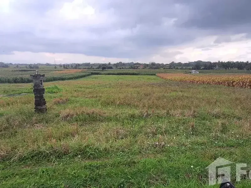 Land for sale in Kerambitan, Bali - Real Estate in Bali
