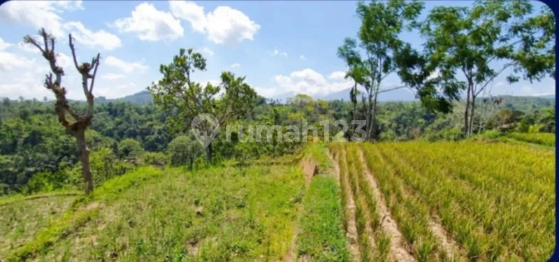 For Sale, Cheapest Land Area 50,100 M2 (5 Hectares) In Ubud, Gianyar, Bali - Real Estate in Bali