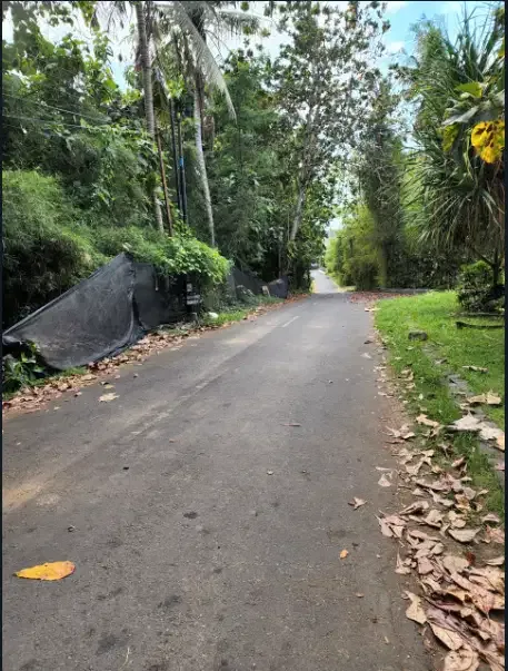 Disewakan tanah murah 4 hektar di Gianyar - Real Estate in Bali