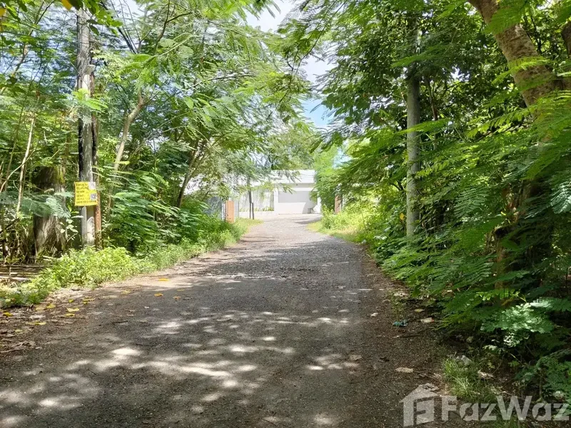Land for sale in Uluwatu, Bali - Bali in Bali
