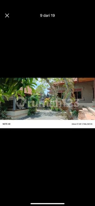 Rumah Besar Siap Huni Di Singapadu Cocok Jadi Villa Rental - Real Estate in Bali