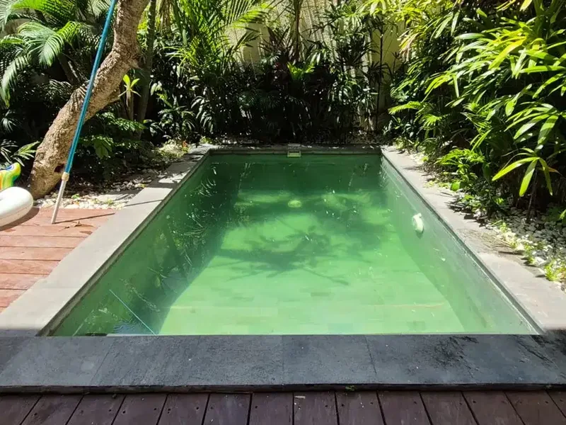 Rental - Private home, Quiet, and Close to Canggu, Bali - Real Estate in Bali