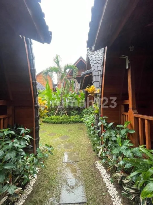 New Villa Model Joglo 2 Kolam Renang Strategis View Sawah Padonan (Brand New) - Real Estate in Bali