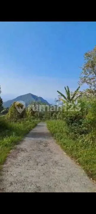 Dijual Tanah Bali Kawasan Wisata Turyapada Bedugul Bali - Bali in Bali