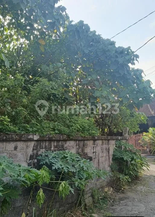 Tanah Premium 4 Are Akses Jalan Lebar Strategis Batubulan Gianyar - Real Estate in Bali