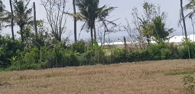 Tanah 12 are Lingkungan Villa View Pantai dan Sungai di Ketewel - Real Estate in Bali