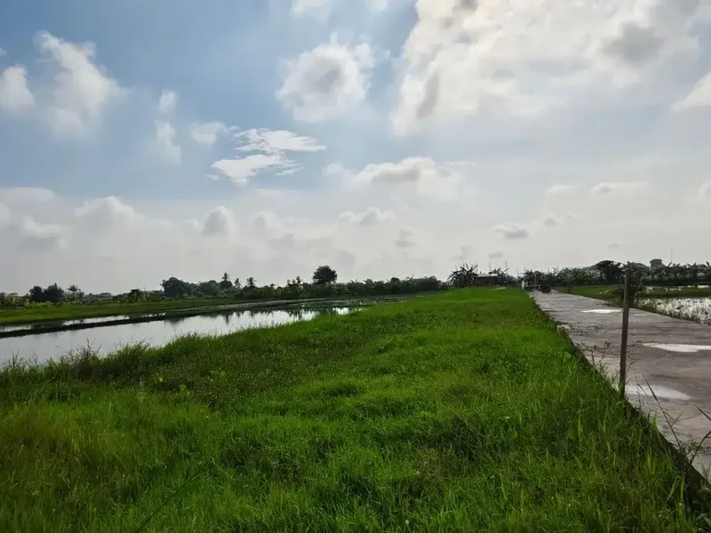 Pink Zone Land Close to Seseh Beach, 29 Year Leasehold Bali - Bali in Bali