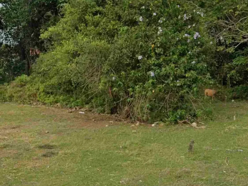 dijual tanah 5,65 are  IDR 400 JT per are diperumahan giri Puspa dekat bypass jimbaran - Bali in Bali