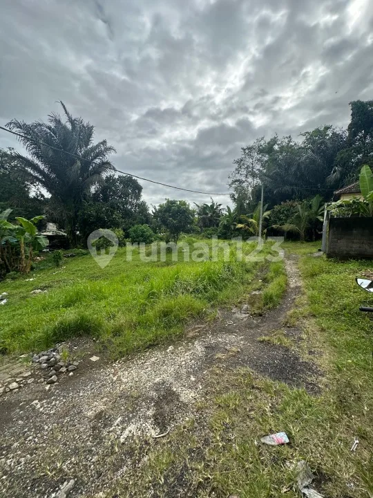 Tanah Murah Abiansemal Dekat Ubud Denpasar dan Tabanan - Bali in Bali
