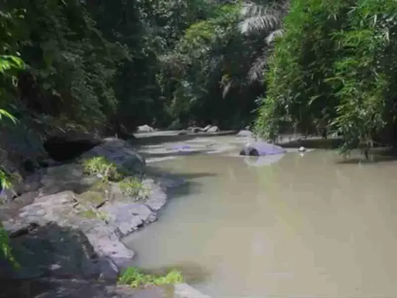 land in river side and jungle near canggu - Real Estate in Bali