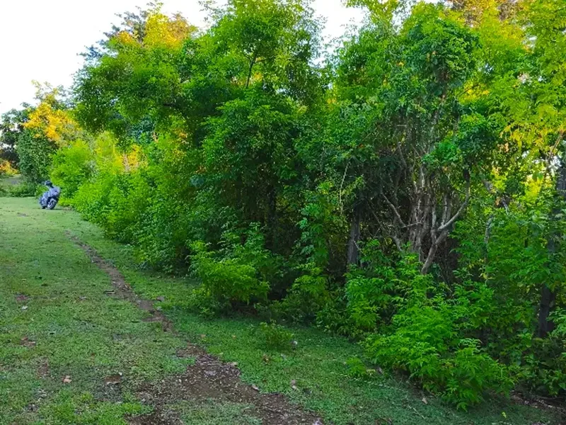 dijual tanah kawasan balangan jimbaran Kuta Selatan Badung Bali - Real Estate in Bali