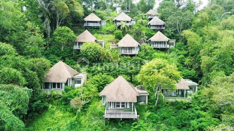 Big Investment In The Heart Of Ubud - Bali in Bali
