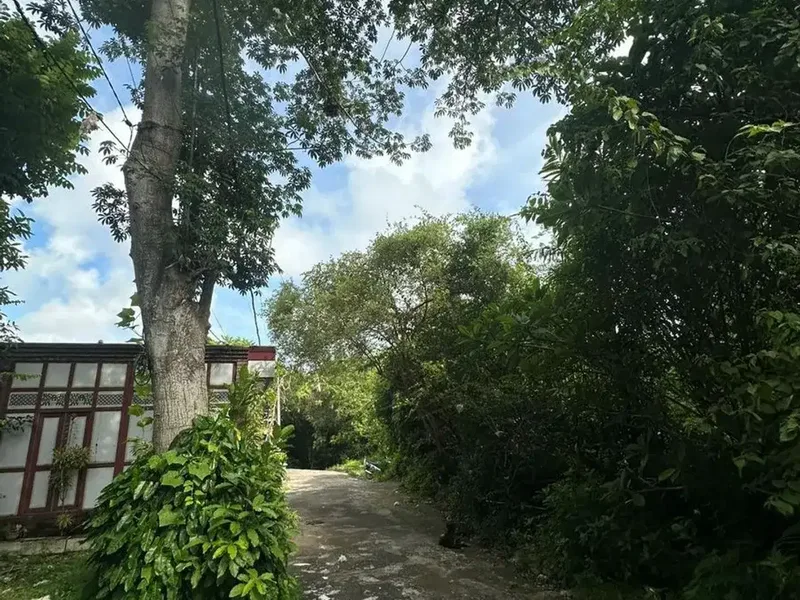 TANAH 5 ARE DIJUAL – AREA PECATU. - Real Estate in Bali