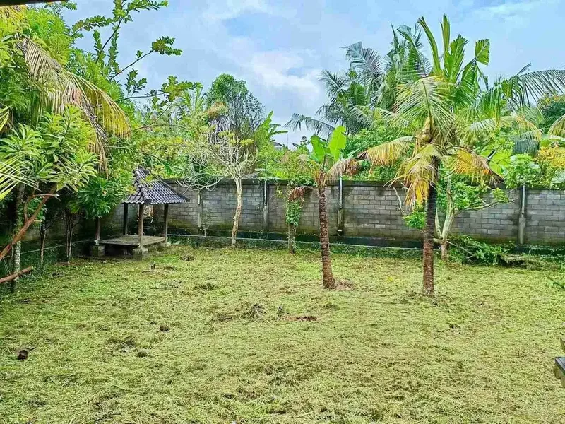 JUAL TANAH B0NUS BANGUNAN DIABIANBASE MENGWI BADUNG - Real Estate in Bali
