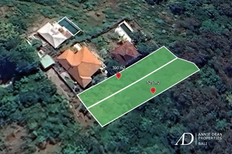 FREEHOLD LAND IN SINGARAJA NEAR LOVINA - 9.15 ARE - Real Estate in Bali