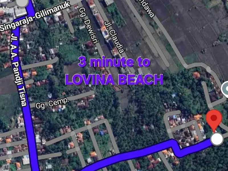 Jual tanah 10 are dekat PANTAI LOVINA / LOVINA DOLPIN Buleleng Bali, cck utk VILLA - Real Estate in Bali