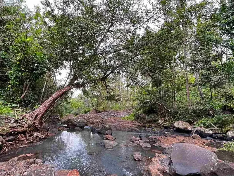 jual tanah Los sungai besar berbatu di desa wisata manikyang tabanan bali. - Bali in Bali