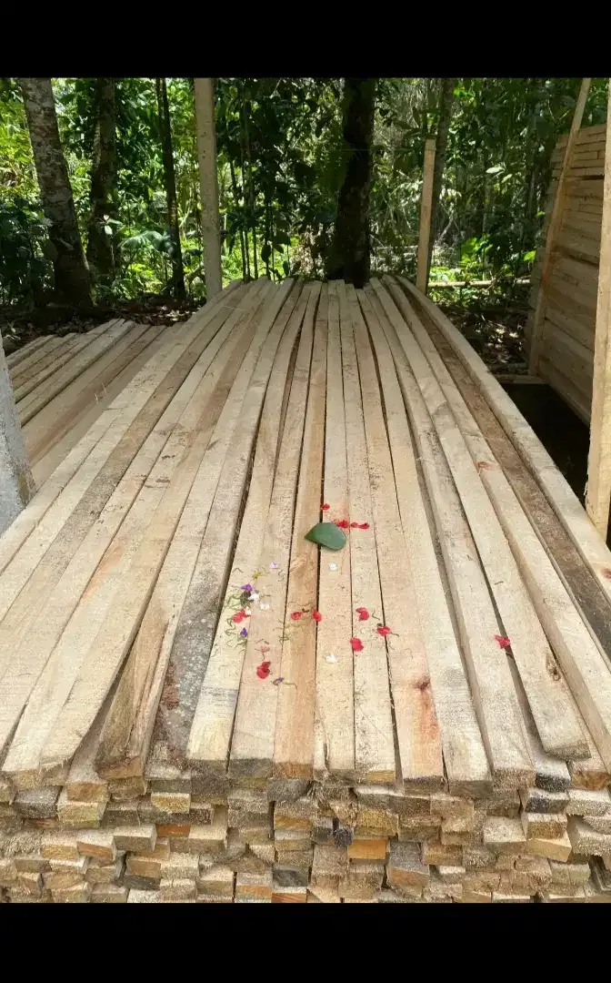 Dijual kayu dan bambu - Other in Bali
