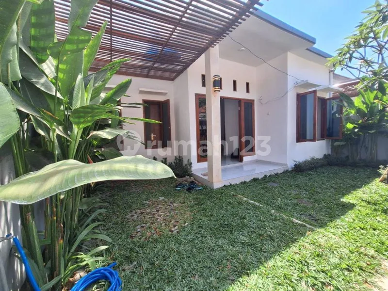 Rumah Baru 2 Kamar Tidur Disewakan di Kerambitan Tabanan Bali - Real Estate in Bali