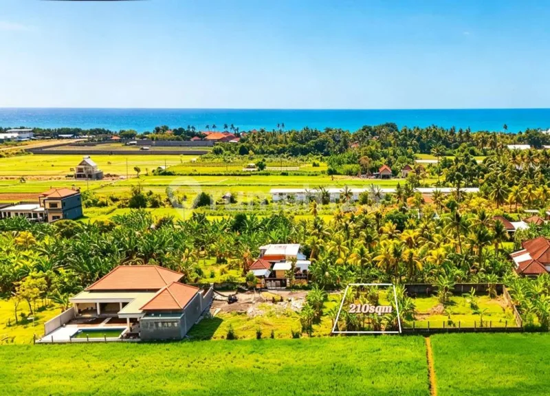 Di Jual Tanah di Central Lovina Singaraja - Bali - Real Estate in Bali