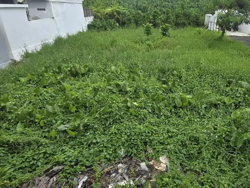 LAND FOR SALE IN CANGGU - Real Estate in Bali