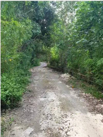 TANAH MURAH 5,6 HEKTAR DIBENOA KUTA SELATAN - Real Estate in Bali