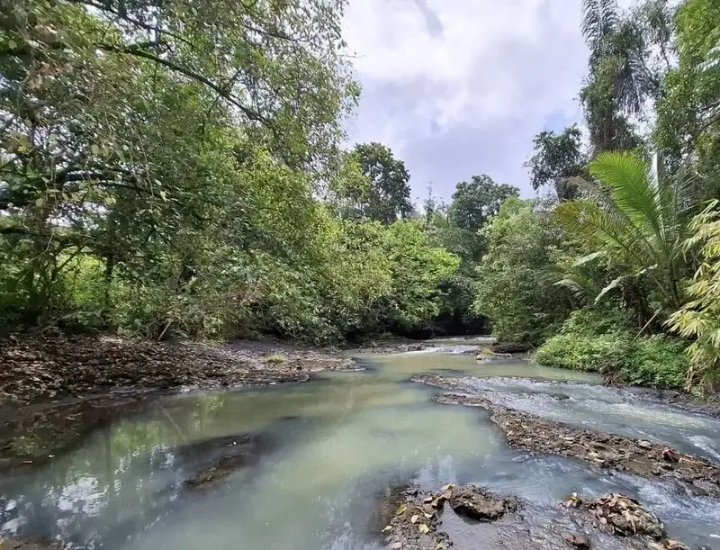 Tanah kebun view sungai sangat murah di tabanan - Bali in Bali