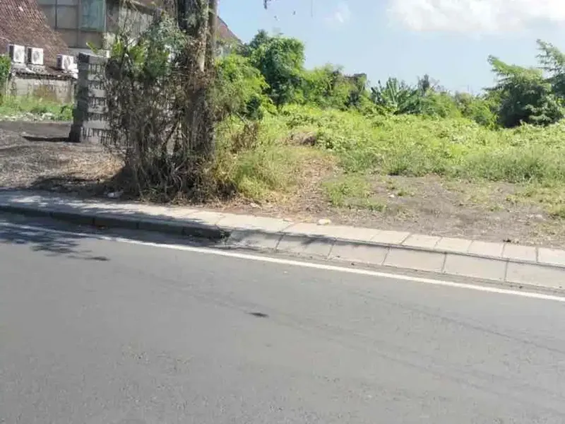 Di sewakan tanah 10are cocok untuk segala usaha di mainroad Canggu pinggir jalan. - Real Estate in Bali