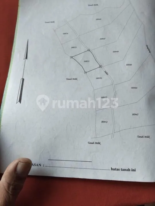 Tanah Zona Kuning Bhuanasari Munduk #8904 - Bali in Bali