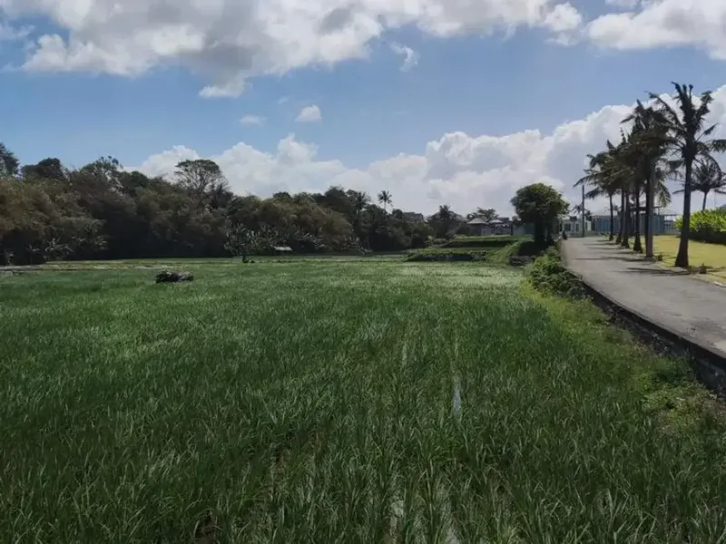Tanah Premium dekat Pantai Pabean Ketewel Gianyar Bali - Real Estate in Bali