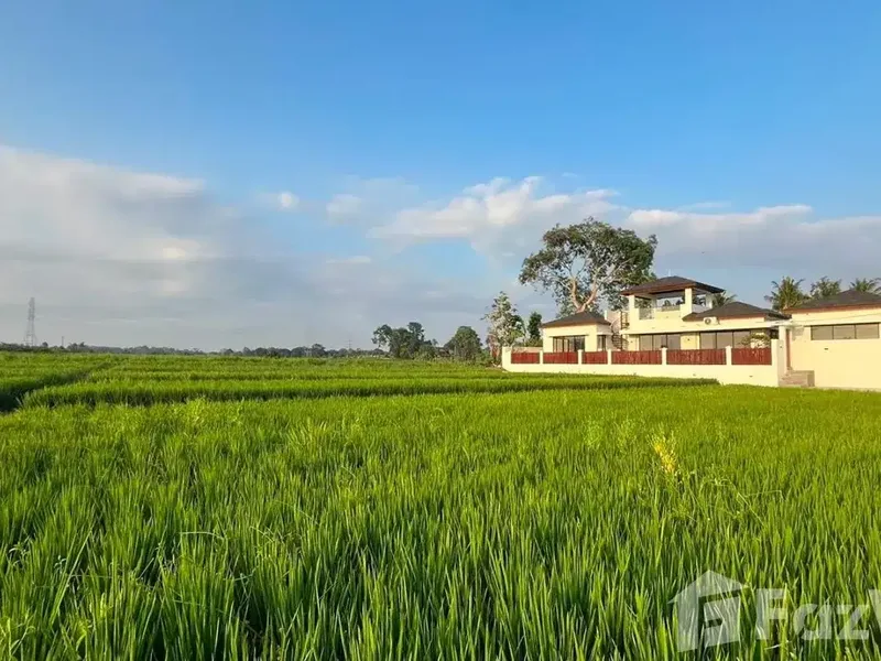 3 Bedroom Villa for sale in Kaba Kaba, Bali - Real Estate in Bali