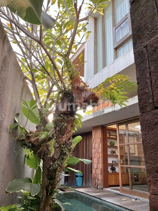 di  villa asri area kerobokan siap huni lokasi strategis - Real Estate in Bali