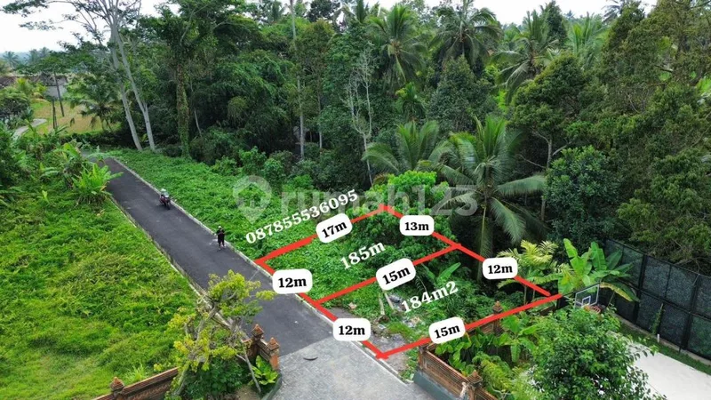 Dijual Tanah Strategis - Timur Ubud Lingkungan Vila dan Resto - Real Estate in Bali