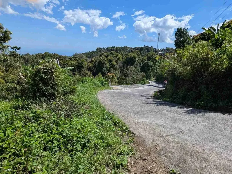 DI JUAL TANAH GLOBAL DI KAWASAN BERKEMBANG DESA GESING VIEW LAUT DAN PEGUNUNGAN, DEKAT WISATA DANAU TAMBLINGAN - Real Estate in Bali
