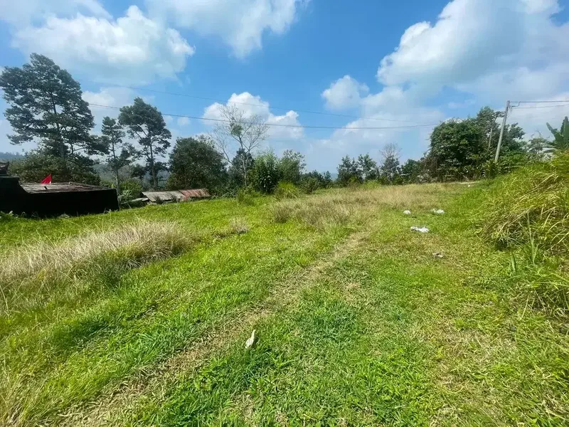 TANAH KOSONG DI BATURITI TABANAN BALI DEKAT STASIUN RADIO - Real Estate in Bali